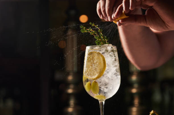 vodka cocktail with citrus spritz 1 vodka cocktail with citrus spritz garnish stock pictures, royalty-free photos & images