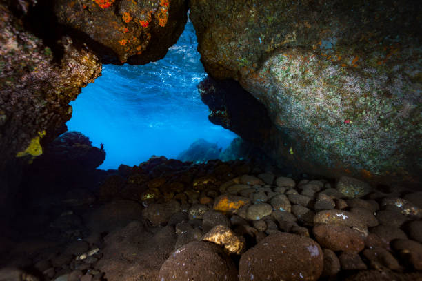 volkanik sualtı mağara dalgalanma bölgesi, manuk adası, banda denizi, endonezya - snake island stok fotoğraflar ve resimler