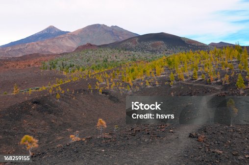 istock volcano Pico del Teide and Viejo in national park tenerife 168259155