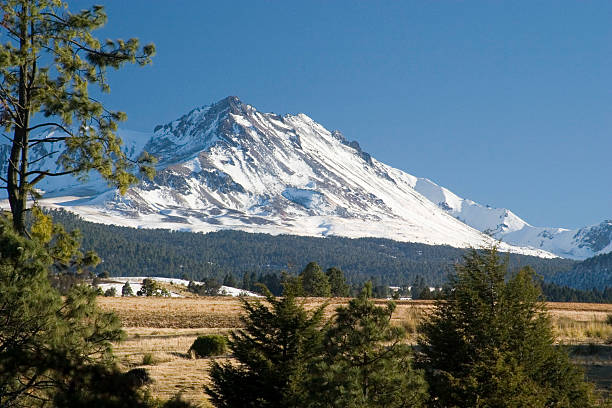 Volcano Nevado de Toluca, Mexico mexico winter stock pictures, royalty-free photos & images