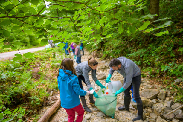 Volunteers collecting rubbish in forest stock photo