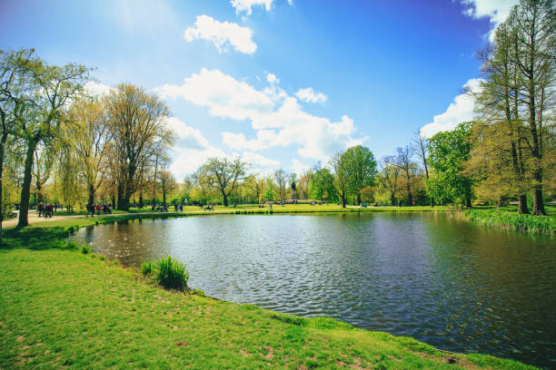 Vondelpark in Amsterdam Little pond at Vondelpark landscape on sunny summer day in Amsterdam, Netherlands pond stock pictures, royalty-free photos & images