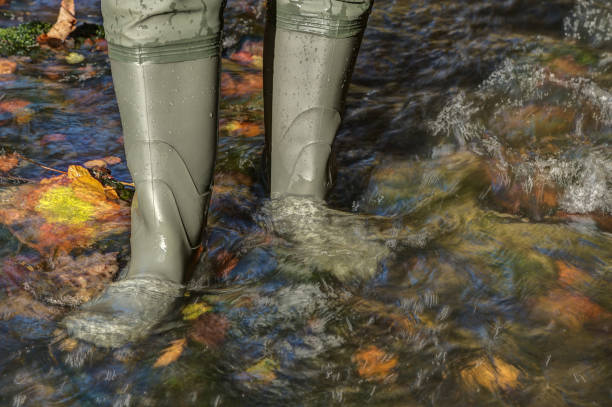 Waders in the brook. stock photo