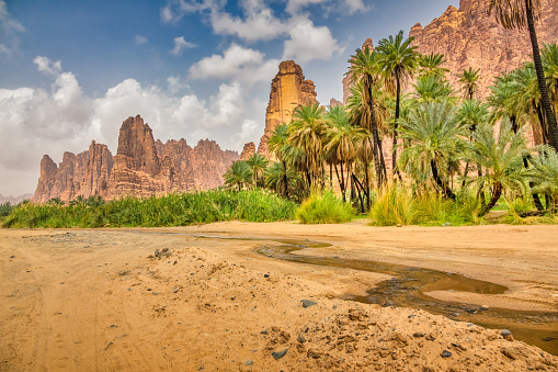 Landscape in Wadi Al Disah oasis in Saudi Arabia on a sunny day.