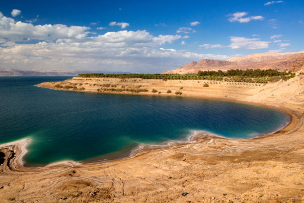 Wadi Mujib beach of Dead sea. Jordan stock photo