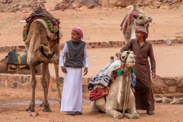 Wadi Rum/Jordan-november 22 2020: Camel drivers are waiting for tourists to take them on a camel ride through the desert stock photo