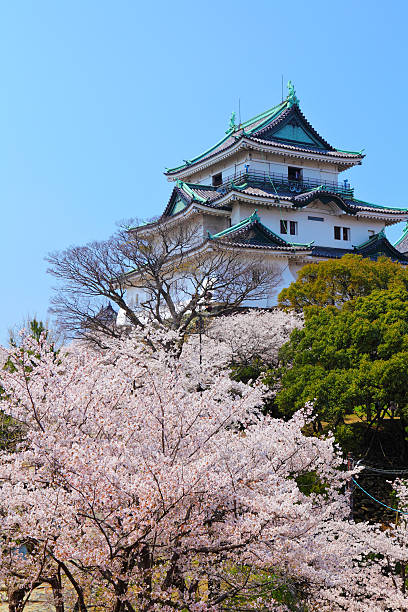 Wakayama Castle stock photo