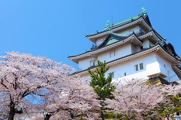 Wakayama Castle stock photo
