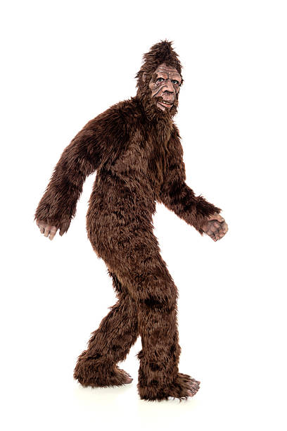 Walking Bigfoot A sasquatch/bigfoot walking. stage costume stock pictures, royalty-free photos & images