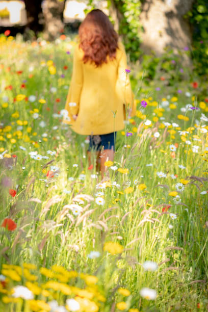 Walking Through a Field of Wildflowers A beautiful red haired woman in a long yellow cardigan walks away from the camera through a field of wild flowers. irish women stock pictures, royalty-free photos & images