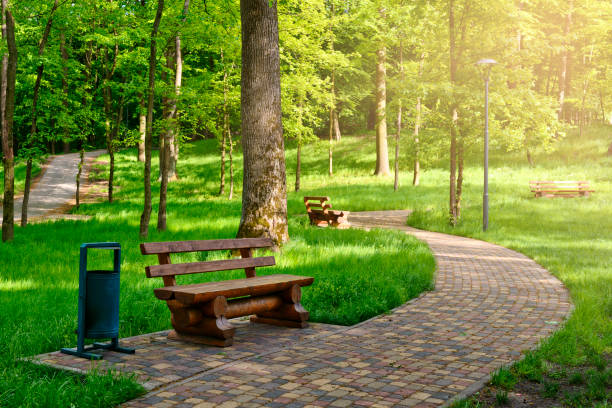Walkway in a sunny spring park with wooden benches for rest Walkway in a sunny spring park with wooden benches for rest park bench stock pictures, royalty-free photos & images