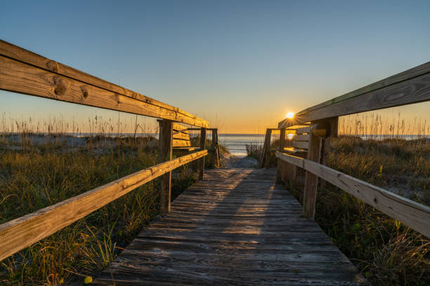 Walkway to the Atlantic at sunrise Walkway to the Atlantic at sunrise. A boardwalk out to Carolina Beach, North Carolina. carolina beach north carolina stock pictures, royalty-free photos & images