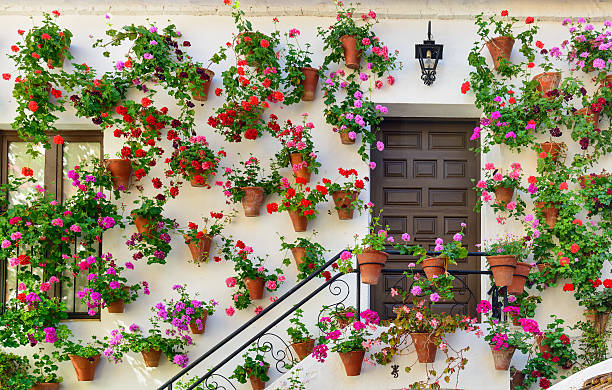 Wall decorations of flowers in Cordoba stock photo