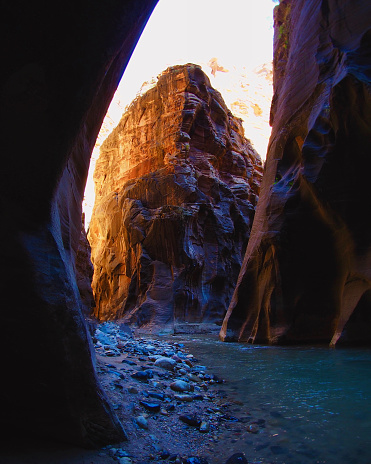 Hiking the Narrows in Zion National Park leads you to a fork in the Virgin River called Wall Street