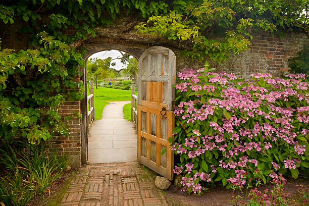 Walled Garden with Hydrangeas  garden path stock pictures, royalty-free photos & images
