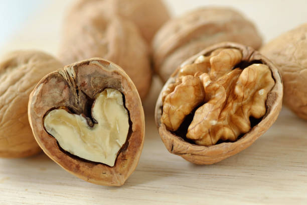 walnut is good for your heart and brain - nozes imagens e fotografias de stock