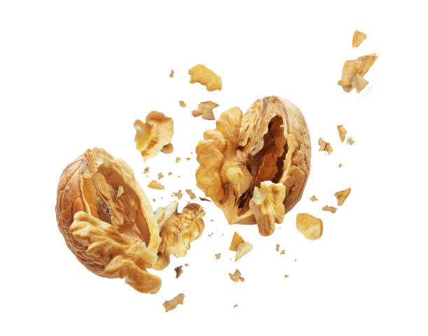 walnut is torn to pieces on white background - nozes imagens e fotografias de stock