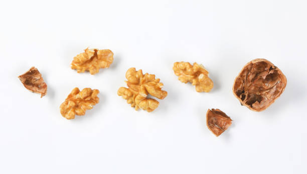walnut kernels and shells - nozes imagens e fotografias de stock
