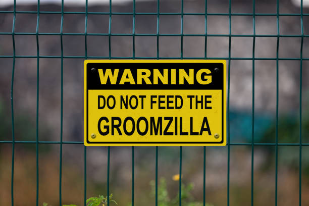 Warning, do not feed the Groomzilla stock photo