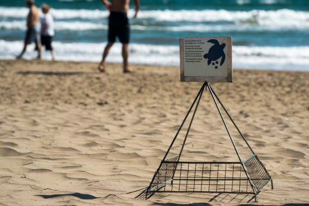 A warning sign to protect sea turtles, Iztuzu beach,Dalyan, Ortaca, Muğla, Turkey stock photo