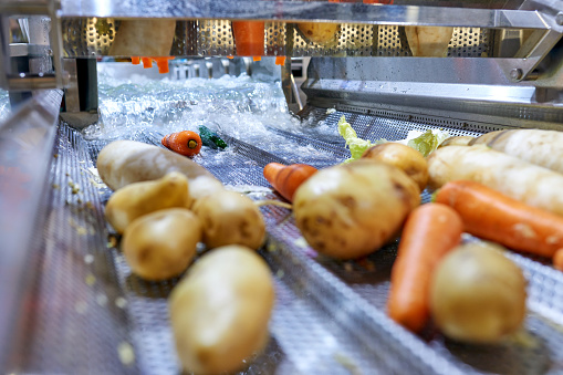 Close-up of washing vegetable at automatic production line.