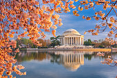 istock Washington, DC at the Tidal Basin and Jefferson Memorial 1356620786