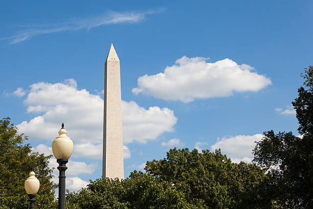 Washington Monument with Lamp Posts and Trees stock photo