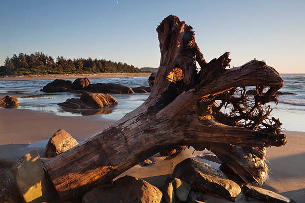 Washinton Coast Setting sun on the shoreline of Neah Bay Washington. neah bay stock pictures, royalty-free photos & images