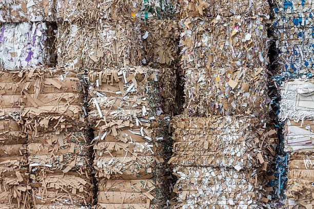 Waste paper recycling. stock photo
