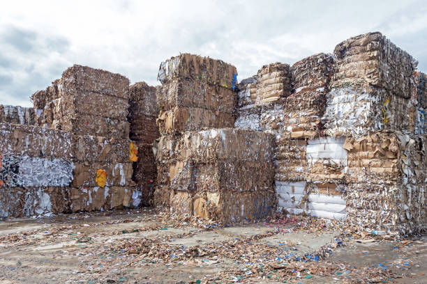 Waste paper recycling.Pile of pressed waste paper bales in the yard stock photo
