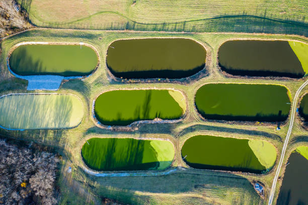 Waste treatment lagoons Top-down view of sewage treatment lagoons near Georgetown, Kentucky lagoon stock pictures, royalty-free photos & images