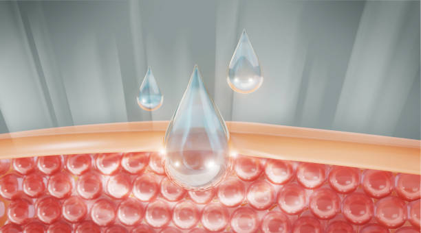 Water and vitamin drop on skin cell. reduce up saggy skin of the skin cell. stock photo