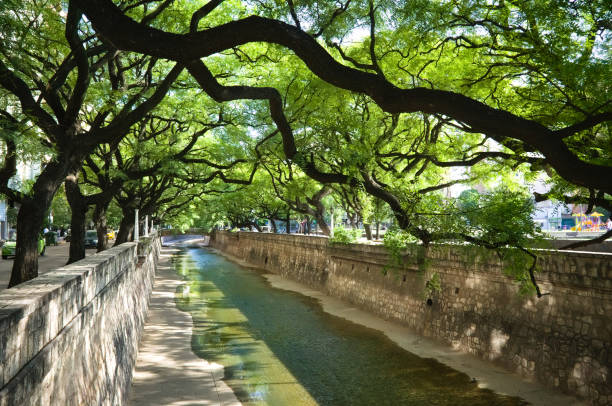 Water channel under green trees branches stock photo