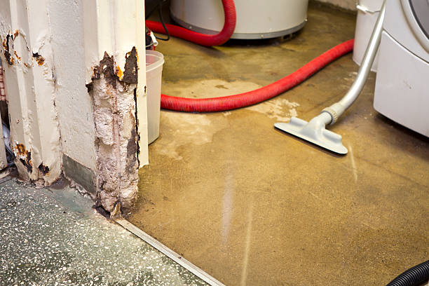 Water damaged basement Significant flooding has damaged a basement. Narrow depth of field. basement photos stock pictures, royalty-free photos & images