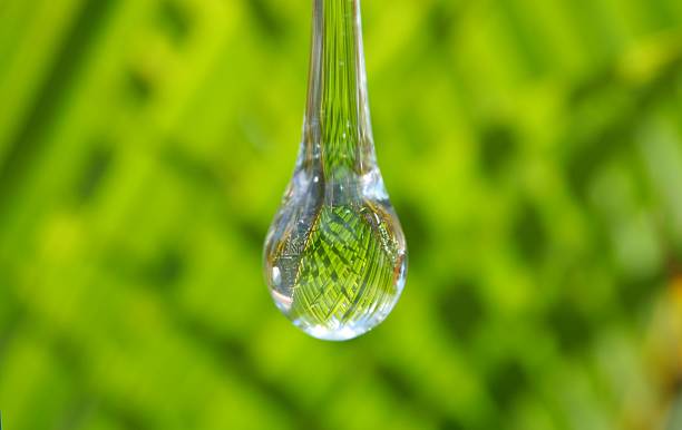 Water drop  biosphere 2 stock pictures, royalty-free photos & images