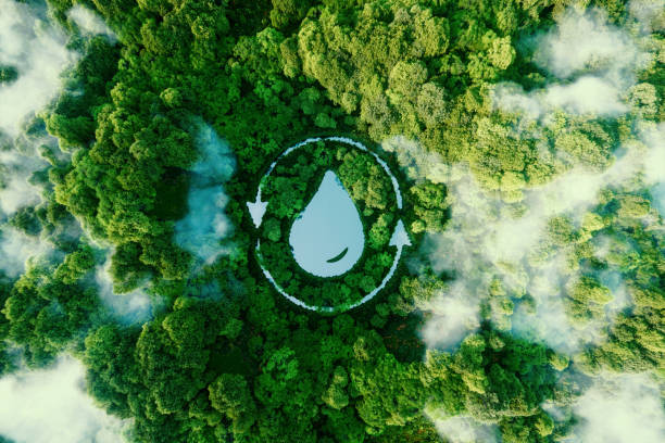 A water droplet shaped lake in the middle of untouched nature. An ecological metaphor for nature's ability to hold and purify water. 3d rendering. stock photo