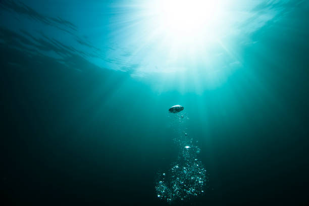 water droplets bubbling towards ocean surface underneath bright sunbeams stock photo