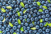 istock Water drops on ripe sweet blueberry. Fresh blueberries background with copy space for your text. Vegan and vegetarian concept. Macro texture of blueberry berries.Texture blueberry berries close up 1340080406
