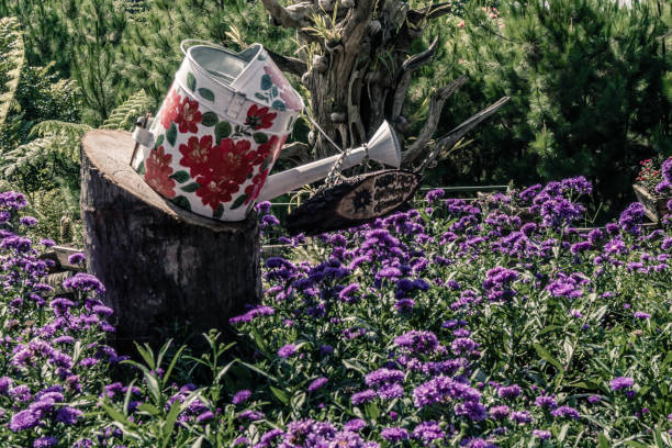 Water Garden Tool & purple flowers stock photo
