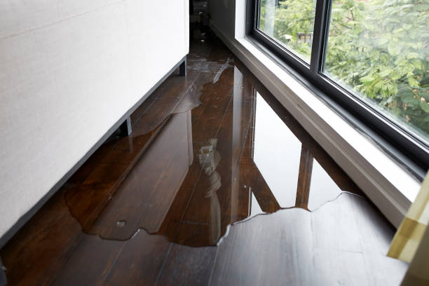 water leaking and flooded on wood parquet floor - danificado imagens e fotografias de stock