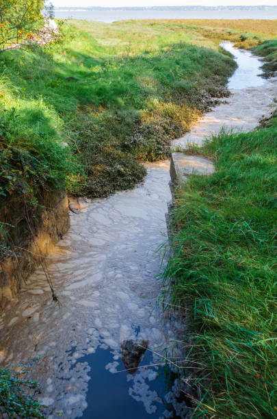 Water pollution from an outflow stock photo