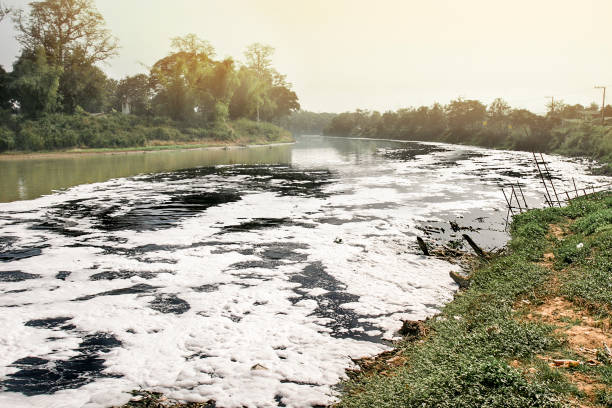 Water pollution in river stock photo