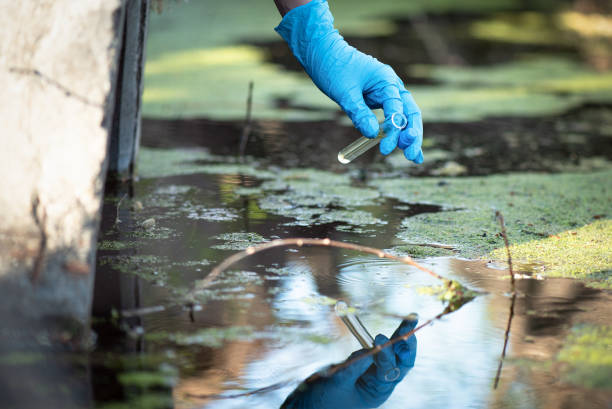 Water pollution. Pond water pollution concept. Scientist takes samples of dirty water from a pond into a test tube. water pollution stock pictures, royalty-free photos & images