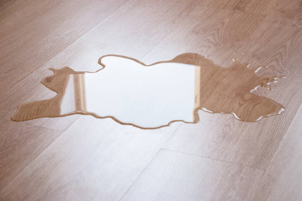 water puddle on laminate floor due to leakage stock photo