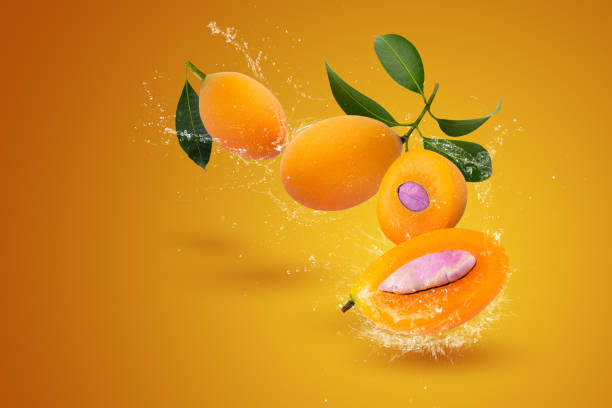 Water Splashing on Fresh sweet marian plum with leaf isolated on orange background stock photo