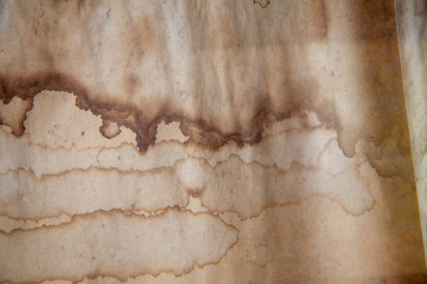 Water stained paper stock photo