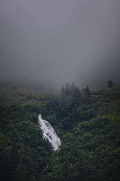 Waterall in the Misty Forest stock photo