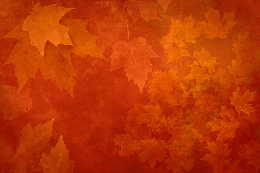Watercolor Background of Abstract Leaves - Autumn Leaf Colors Orange - Copy Space