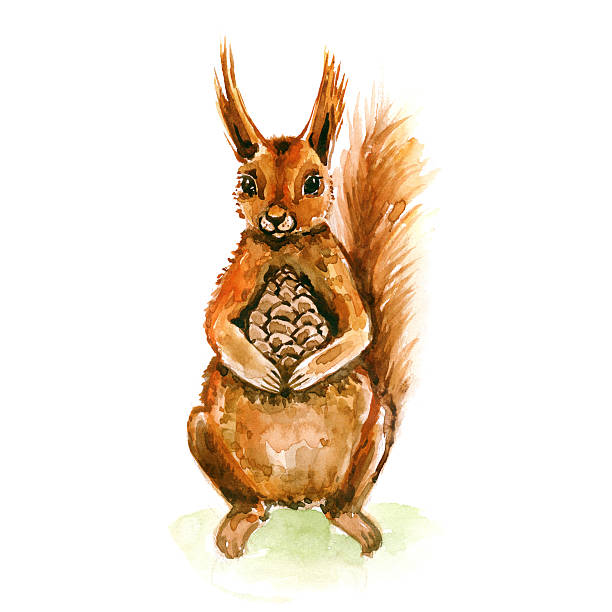 Watercolor cute squirrel with pine nuts. St. Valentin's present. stock photo
