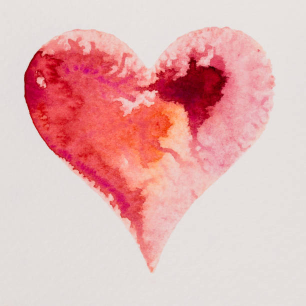Watercolor painted pink heart, on the white watercolor paper. stock photo